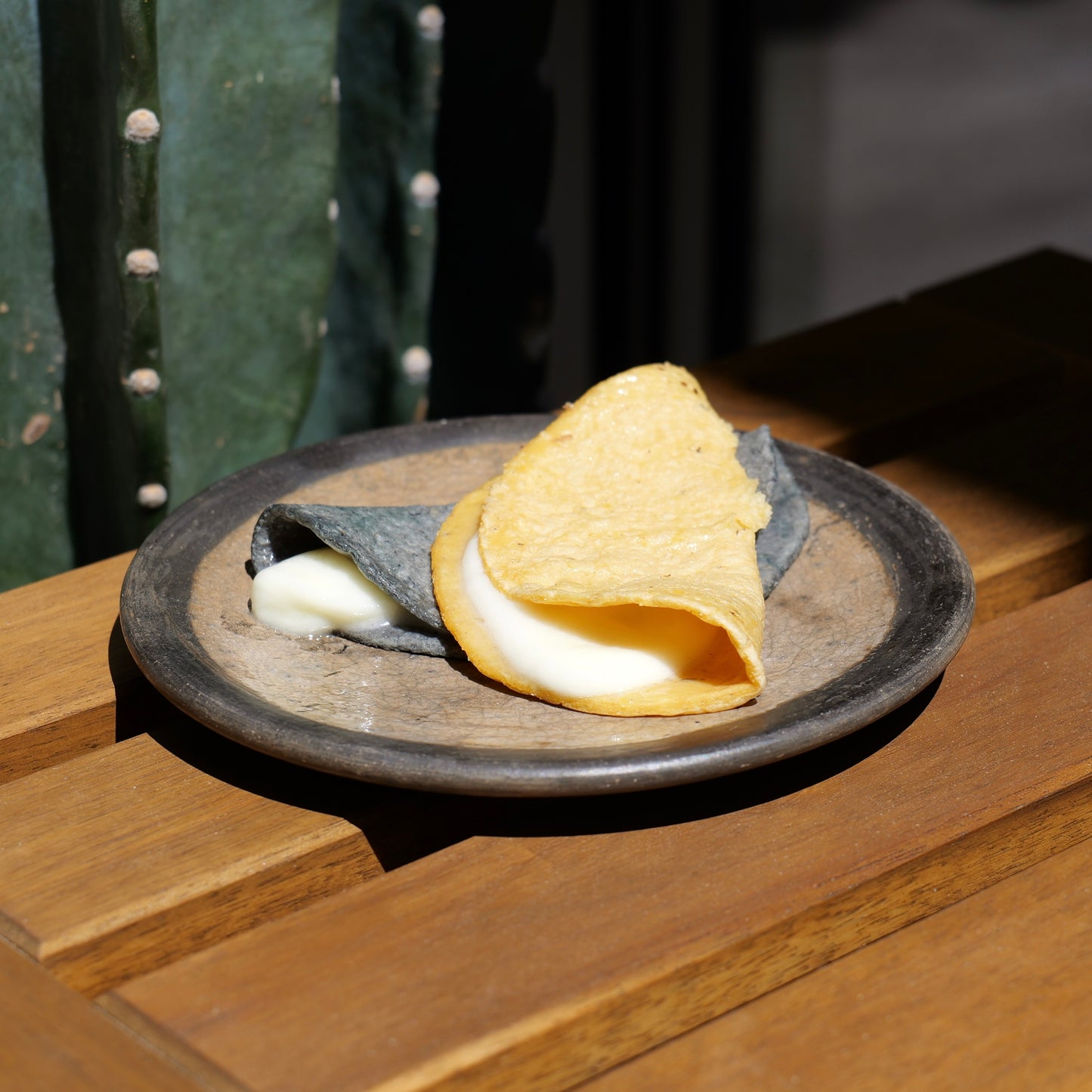 Frozen Corn Tortillas set of 5 / 冷凍コーントルティーヤ(5枚セット)