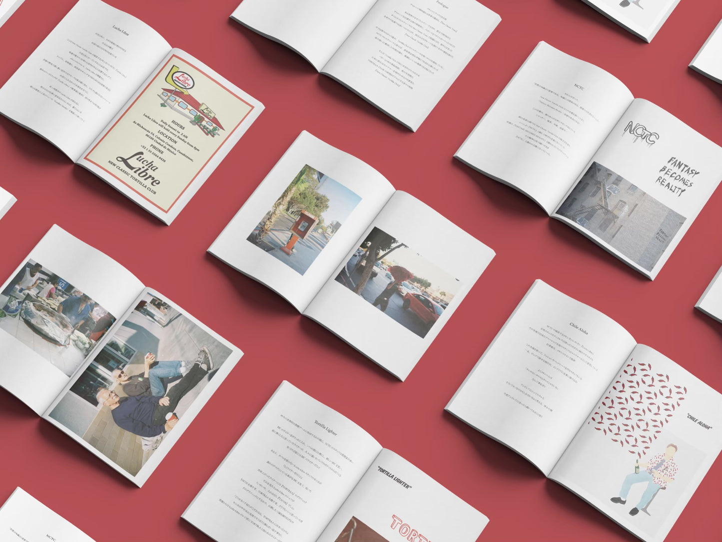 Fictional Catalog / イラストZINE