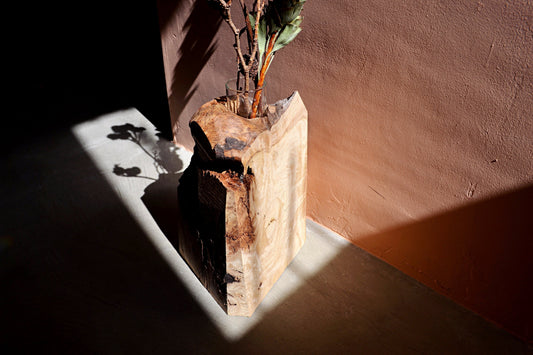 《NCLF》ドイのコラム