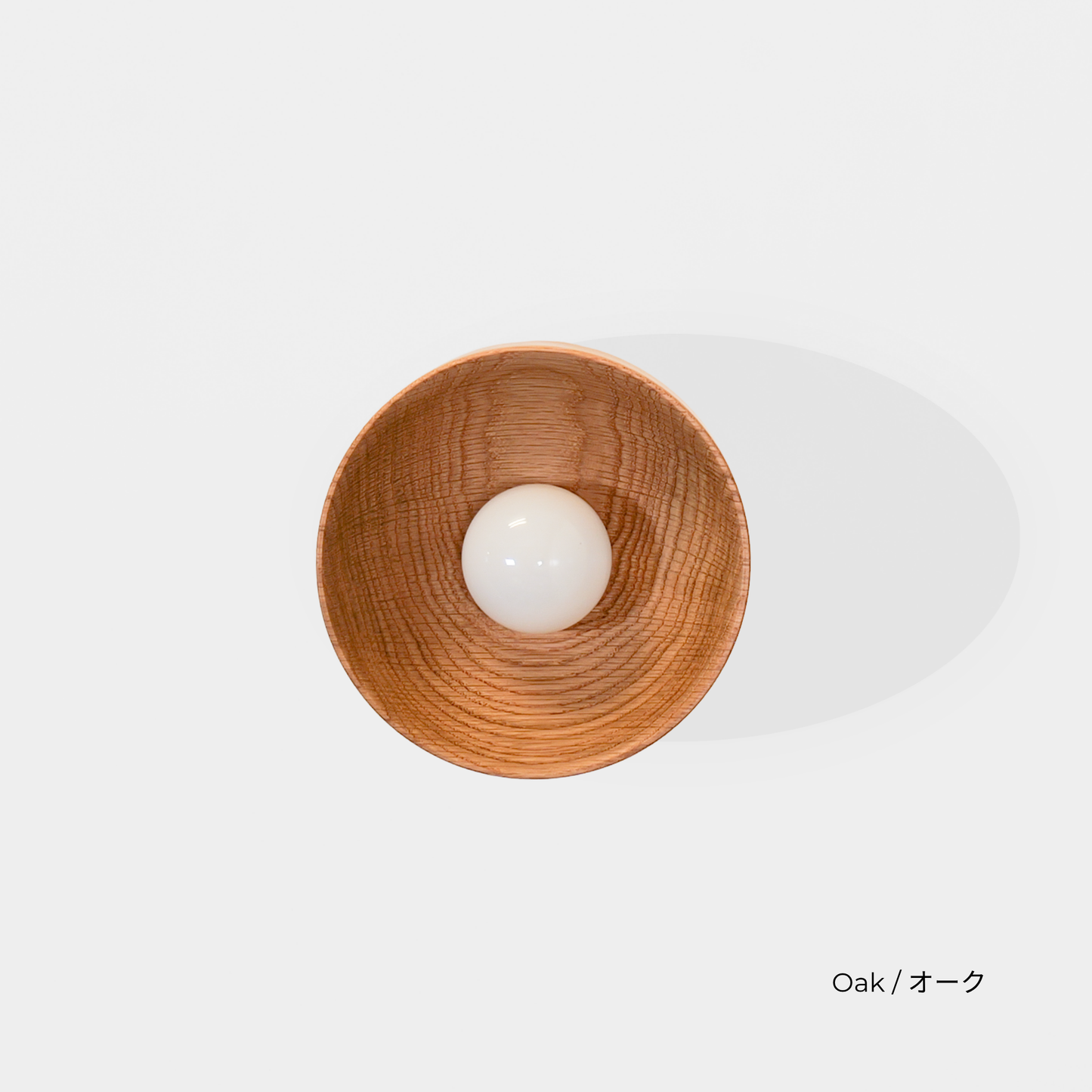 HOLLOW LIGHT