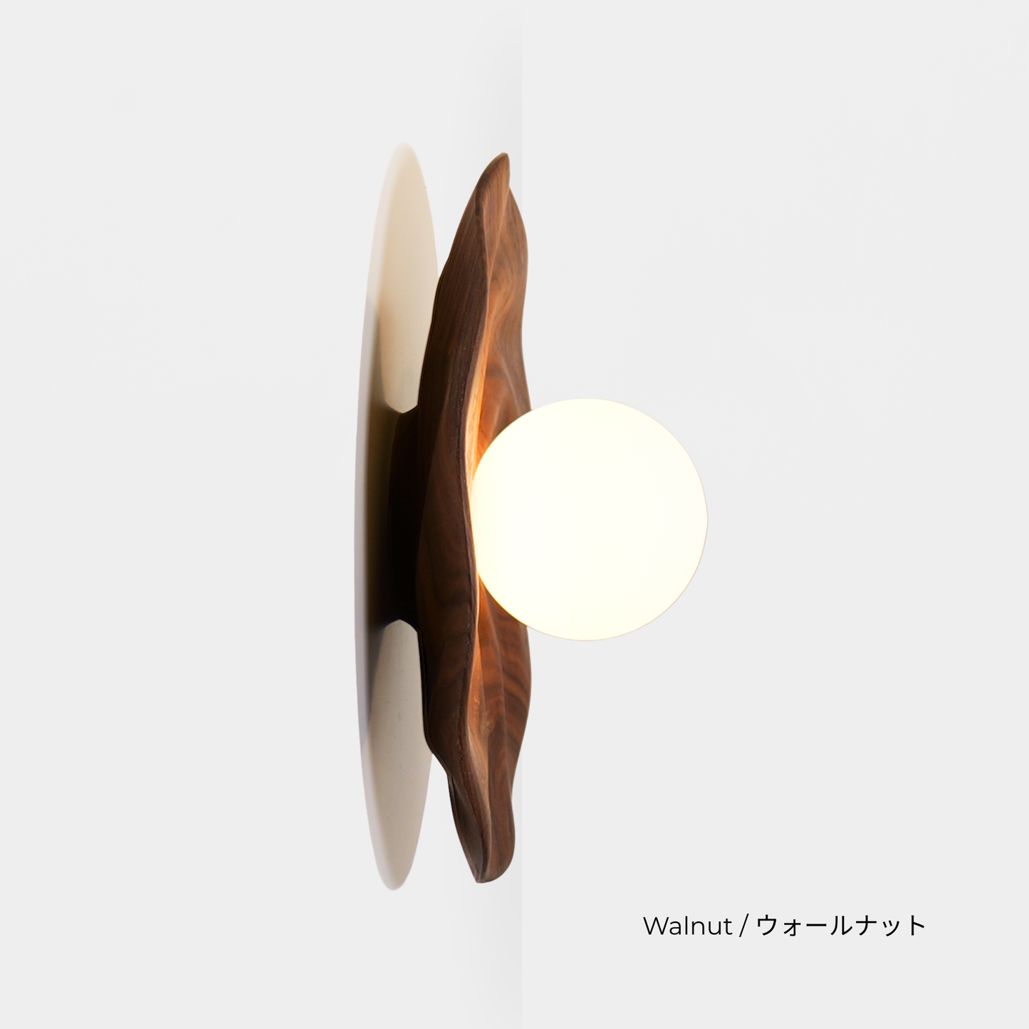 PETAL LIGHT (G9)