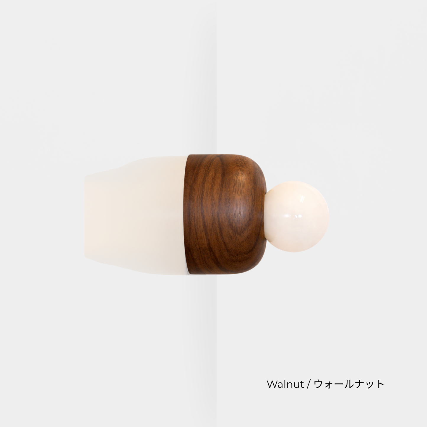 EGG LIGHT