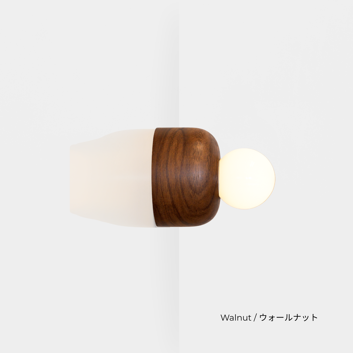 EGG LIGHT