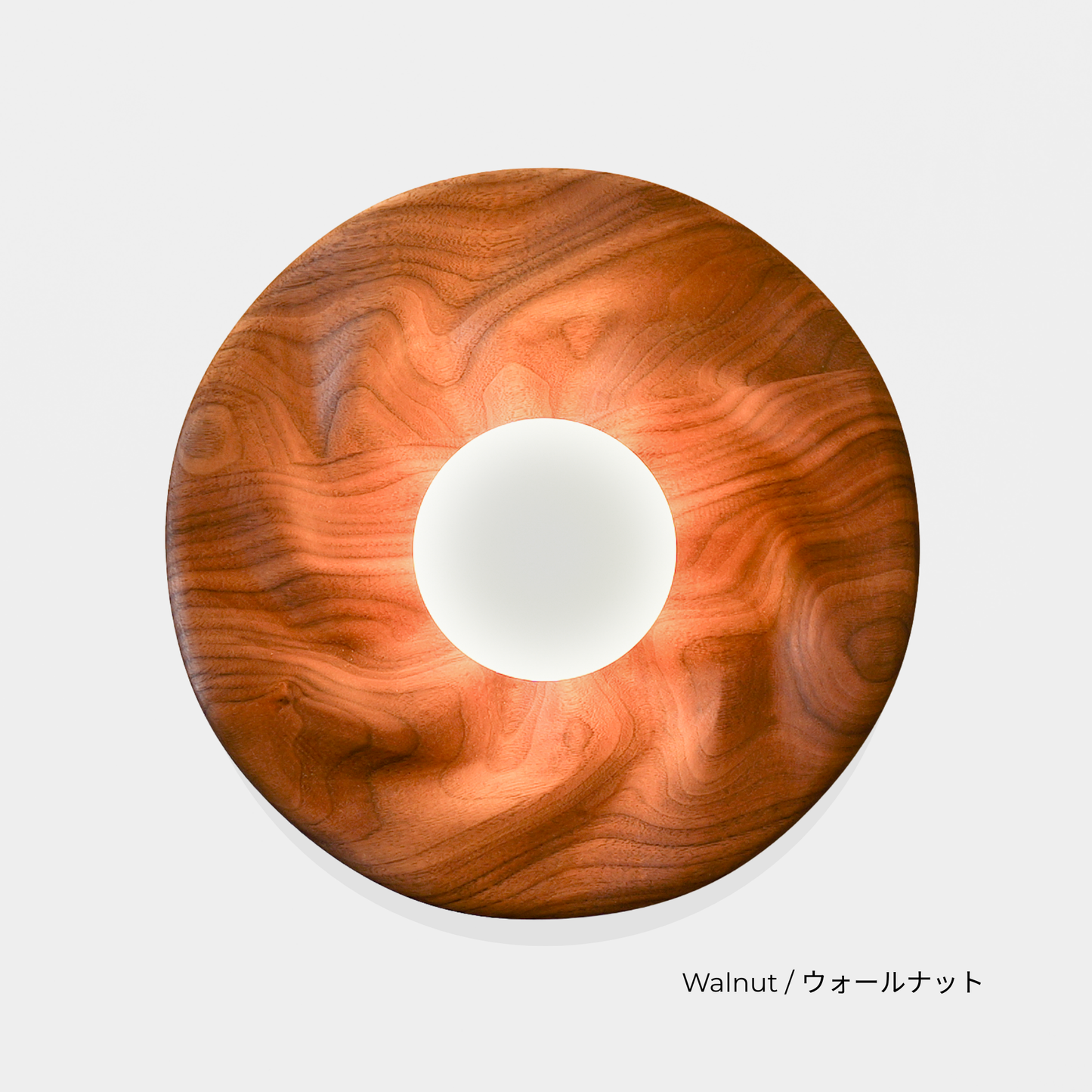 PETAL LIGHT (G9)