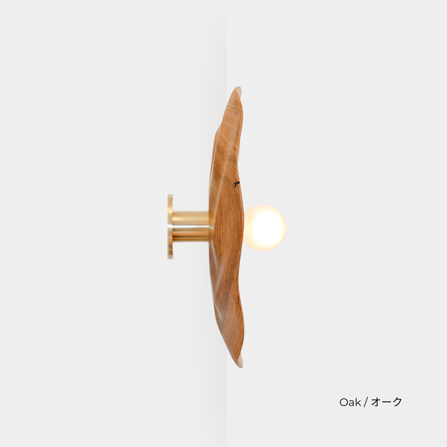 PETAL LIGHT (E-17)